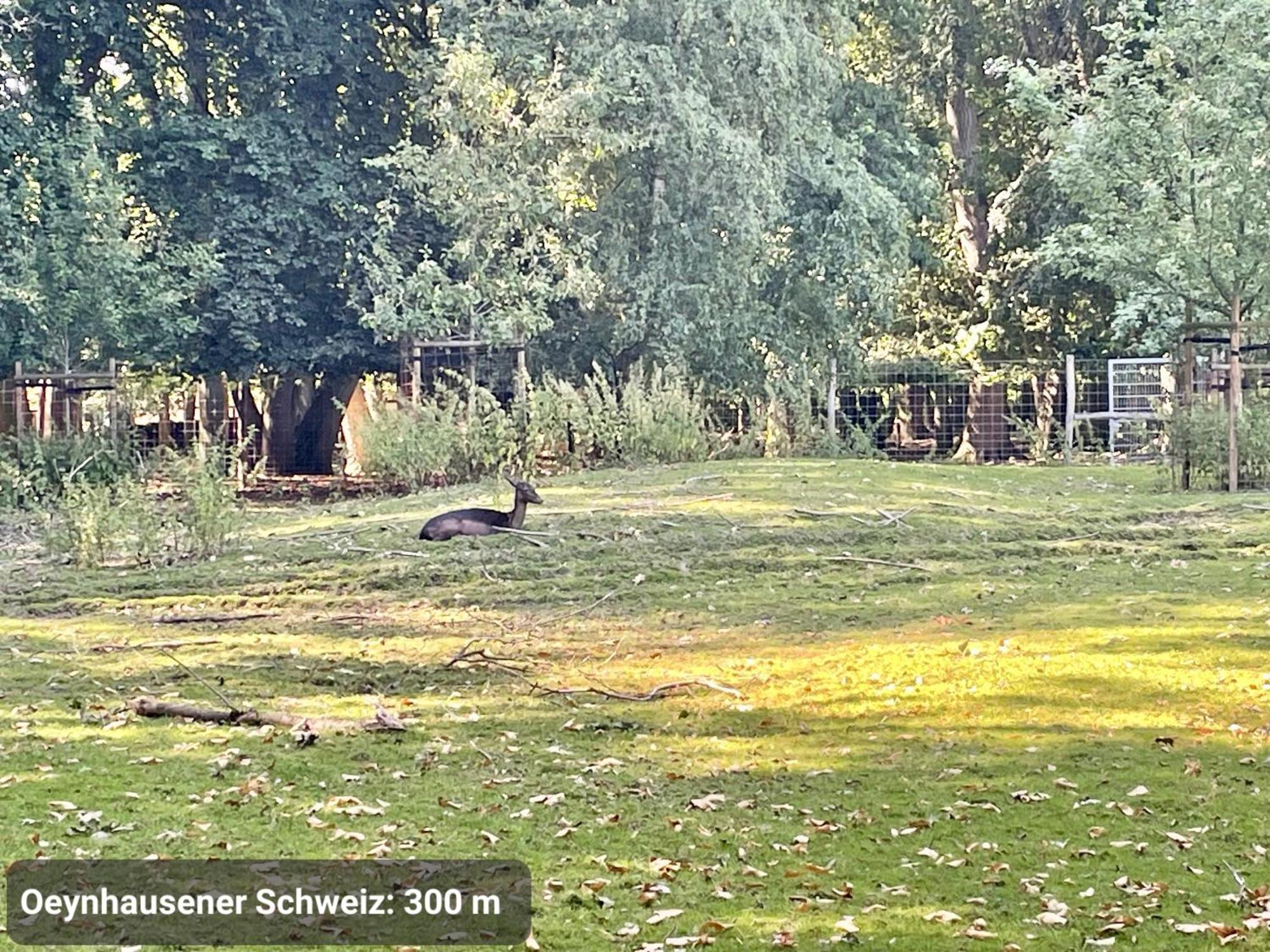 Studio3 Zentral Und Ruhig Mit Parkplatz, 5 Min Z Bali-T Und Gop, Boxspringbett Bad Oeynhausen Kültér fotó